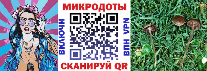 Галлюциногенные грибы Psilocybine cubensis Уварово